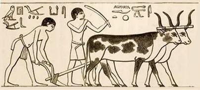 image034.jpg